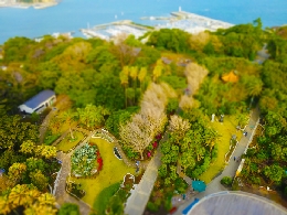 20161110_b.jpg